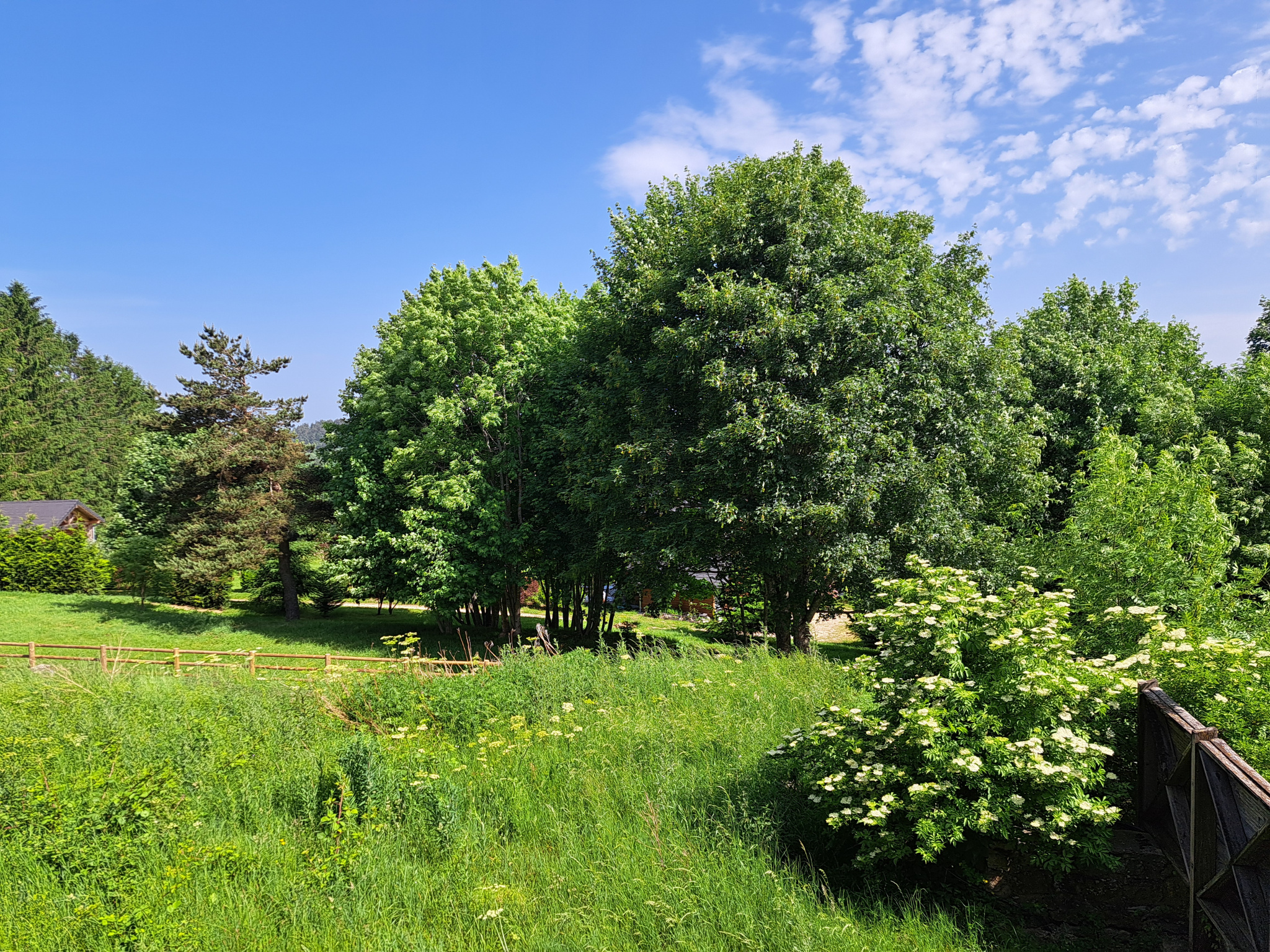 Entre Tence et Chambon sur Lignon grande maison en pierre sur 995 m2 de terrain
