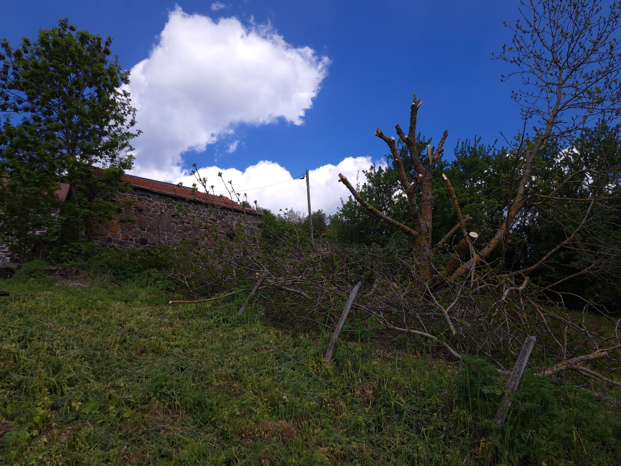 Maison en pierre en partie rénovée et petite bergerie