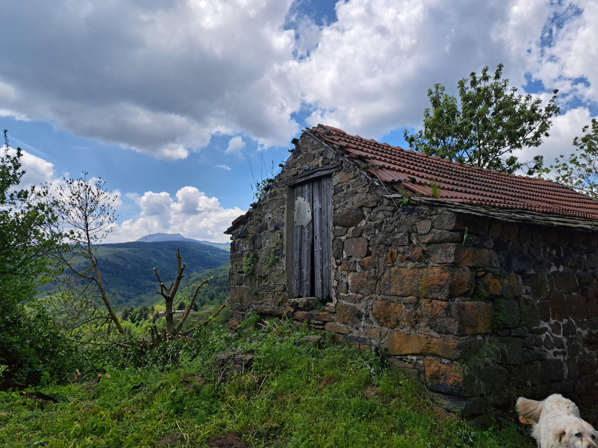 Maison en pierre en partie rénovée et petite bergerie